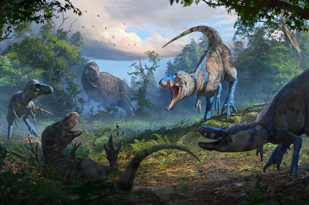 T. rex adolescente ou uma nova espécie? Cientistas desvendam mistério dos fósseis de “mini-tiranossauros”