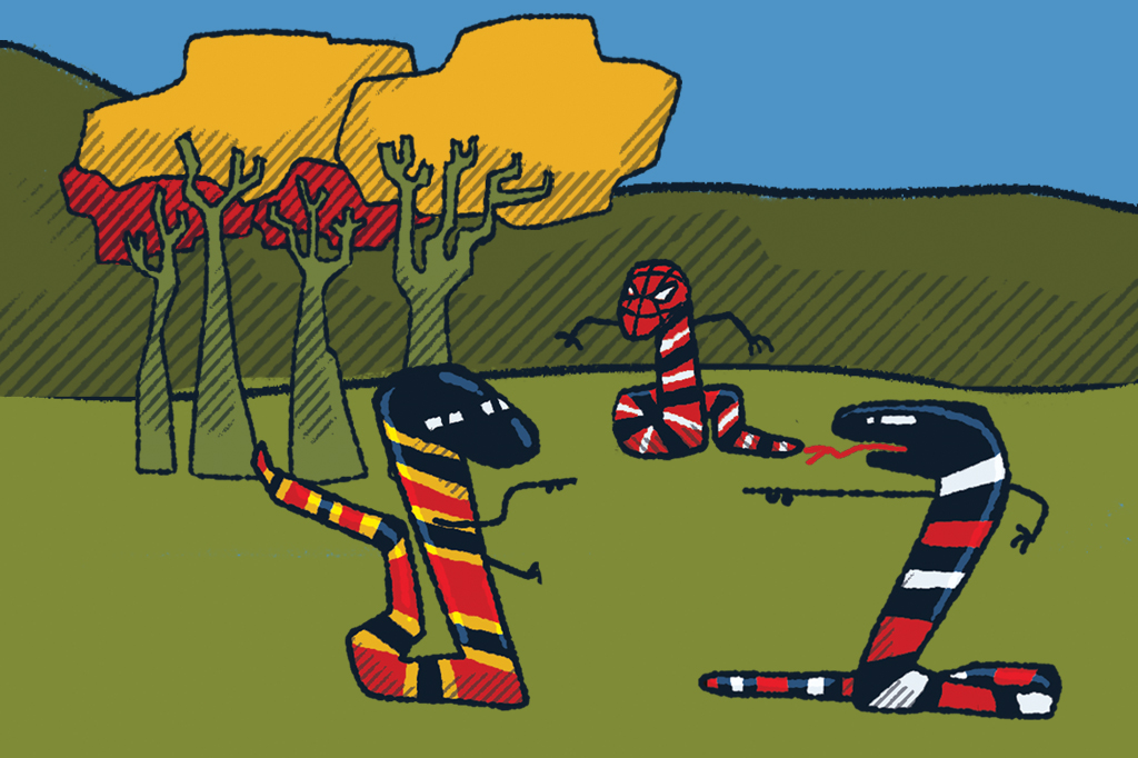 Existe algum truque para diferenciar cobra-coral verdadeira e falsa?