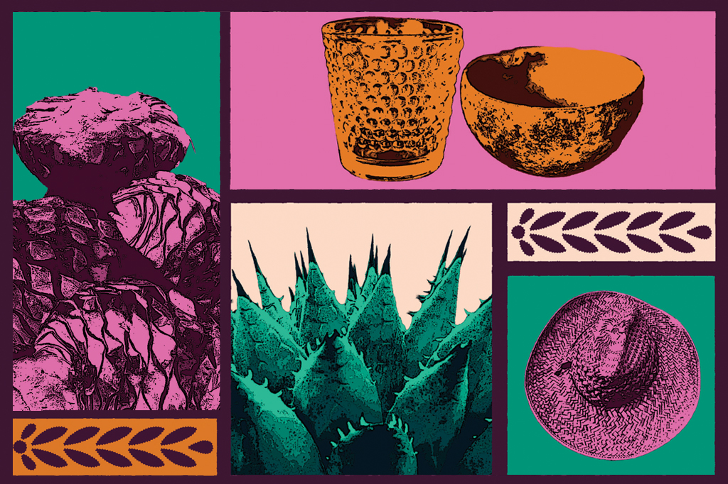 Foto colagem com imagens de agave cortado, uma copo de vidro e uma tigela e um chap&eacute;u.