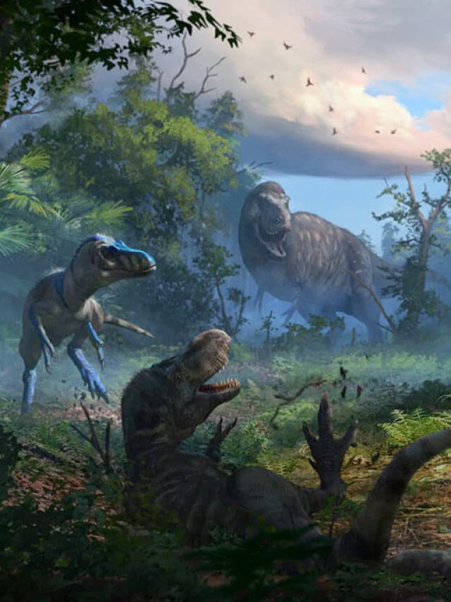 Capa de: “Mini-tiranossauros”: descoberta nova espécie de dinossauro