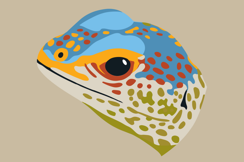 Ilustra&ccedil;&atilde;o, em fundo bege escuro, de uma cabe&ccedil;a de lagarto.