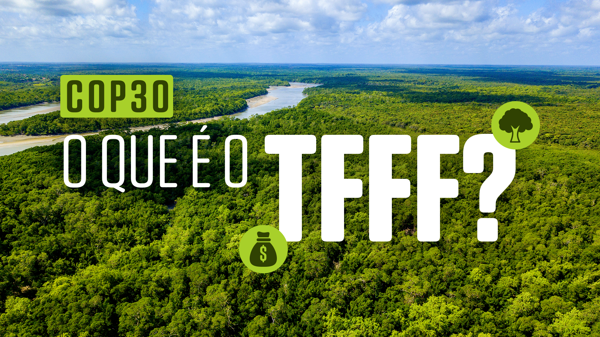Fundo Florestas Tropicais para Sempre: entenda como será usado o dinheiro
