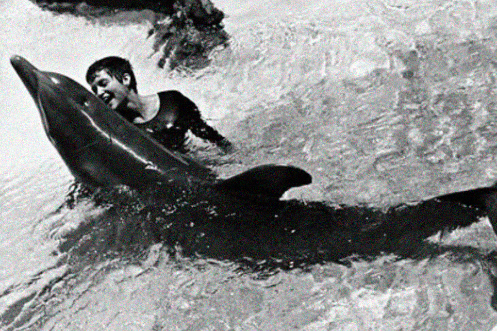 A vez em que os EUA tentaram ensinar golfinhos a falar inglês