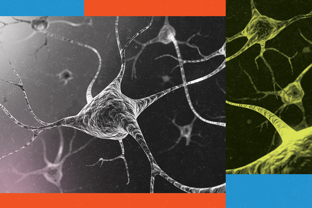 Imagem hiper ampliada de uma rede de neurônios.