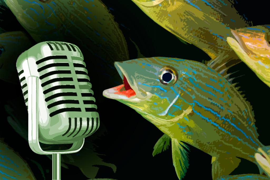 Ilustração de um peixe cantando em um microfone.