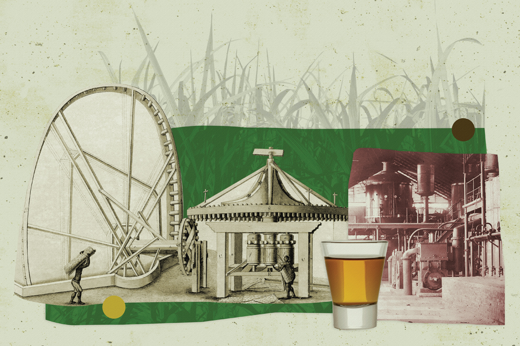 Imagem, em fundo verde claro, de colagem feita com imagens de um engenho de cana-de-açúcar.