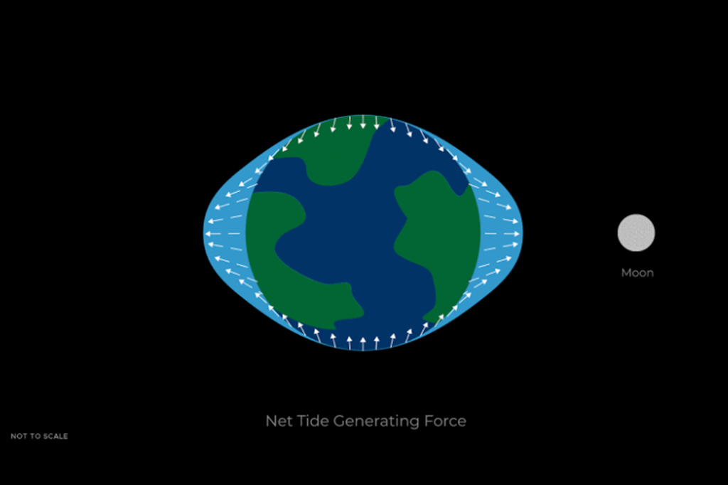 A atra&ccedil;&atilde;o gravitacional da Lua sobre a Terra, combinada com outras for&ccedil;as tangenciais, faz com que a &aacute;gua da Terra seja redistribu&iacute;da, criando, em &uacute;ltima an&aacute;lise, protuber&acirc;ncias de &aacute;gua no lado mais pr&oacute;ximo da Lua e no lado mais distante da Lua. (Gr&aacute;fico sem escala.)