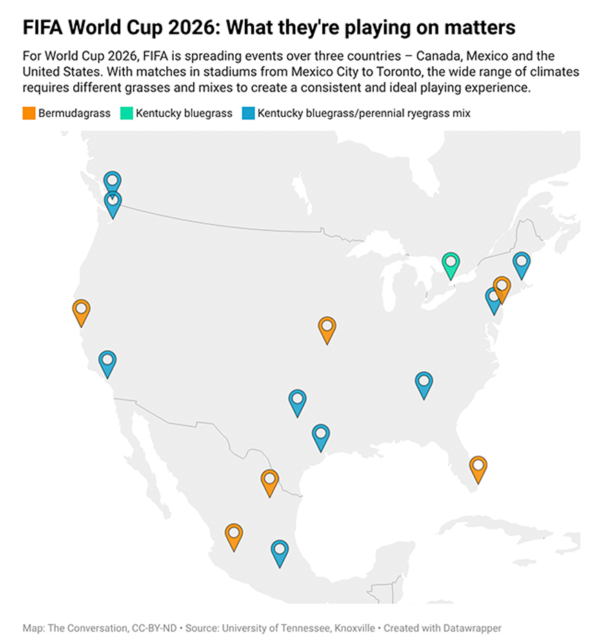 Gr&aacute;fico dos campos de futebol nos Estados Unidos.