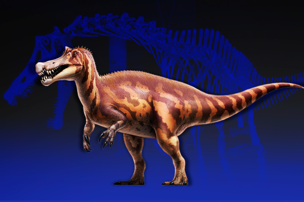 Montagem do esqueleto e da ilustração do dinossauro Irritator challengeri.