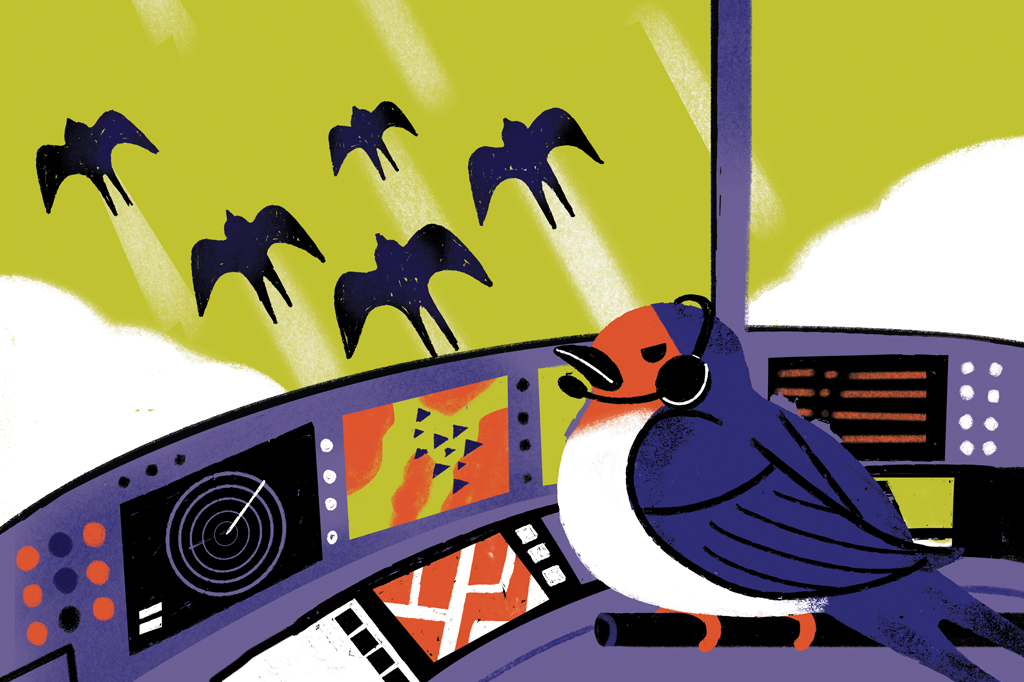 SI_487_Oráculo_Animais_migratórios