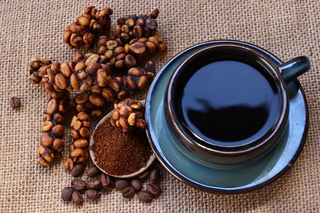 Quem inventou o café feito com grãos digeridos por um animal?