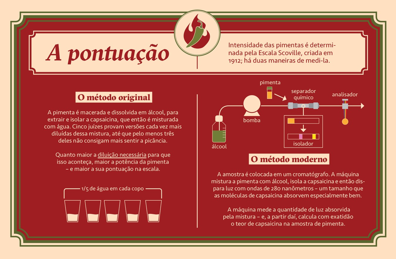 Infogr&aacute;fico sobre a pontua&ccedil;&atilde;o de pimentas na Escala Scoville, com dois m&eacute;todos. O m&eacute;todo original mostra cinco copos com dilui&ccedil;&otilde;es de pimenta e o m&eacute;todo moderno, um diagrama de processo com bomba, separador qu&iacute;mico, isolador e analisador. O texto explica como a intensidade &eacute; medida.