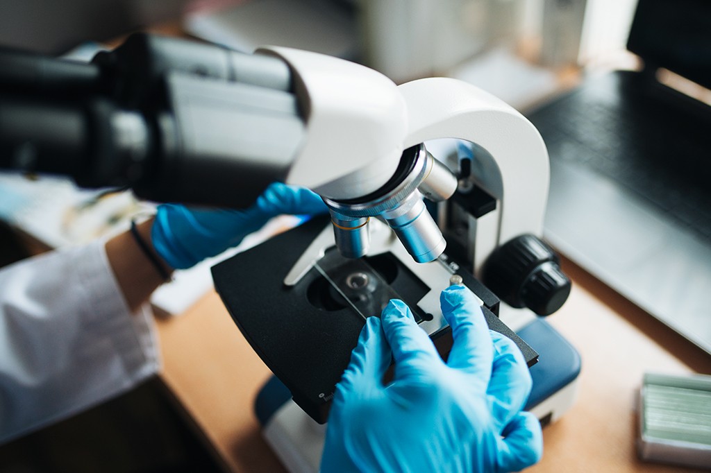 Mãos com luvas azuis ajustando uma lâmina de microscópio branco e preto, com lentes prateadas, em um laboratório